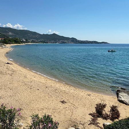 Irini Seaside Apartment PalaiónTsiflíkion Eksteriør billede