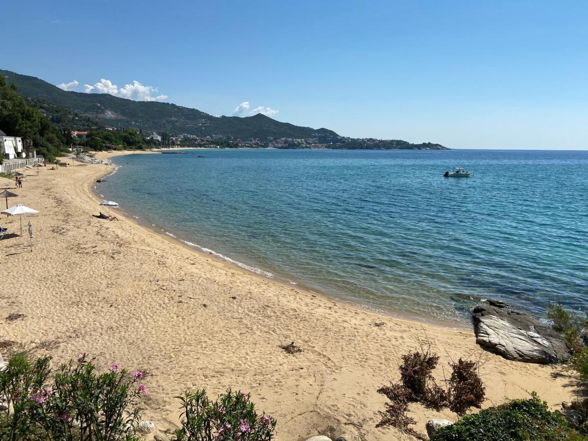 Irini Seaside Apartment PalaiónTsiflíkion Eksteriør billede
