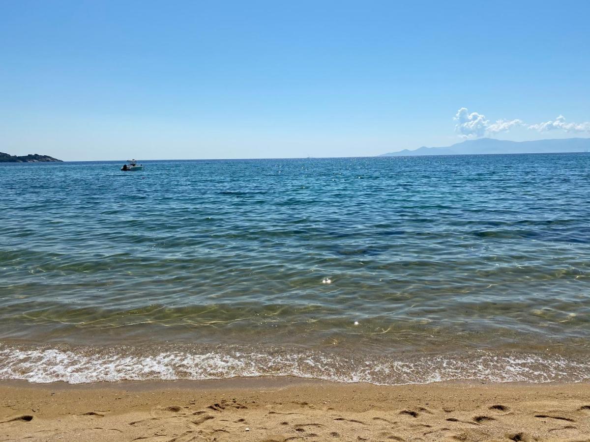 Irini Seaside Apartment PalaiónTsiflíkion Eksteriør billede